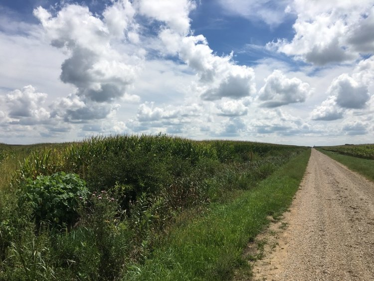Farmland Buyers or Sellers