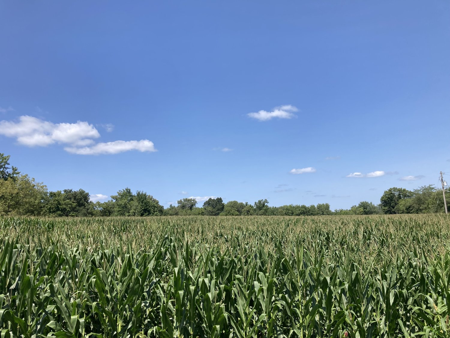 Farmland for Sale