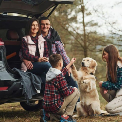 Auto Loans