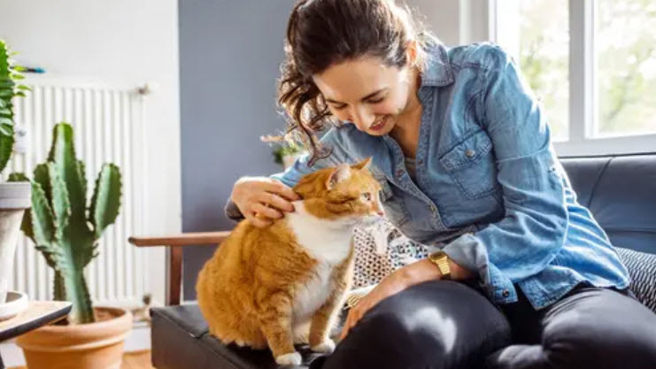 Pet Insurance