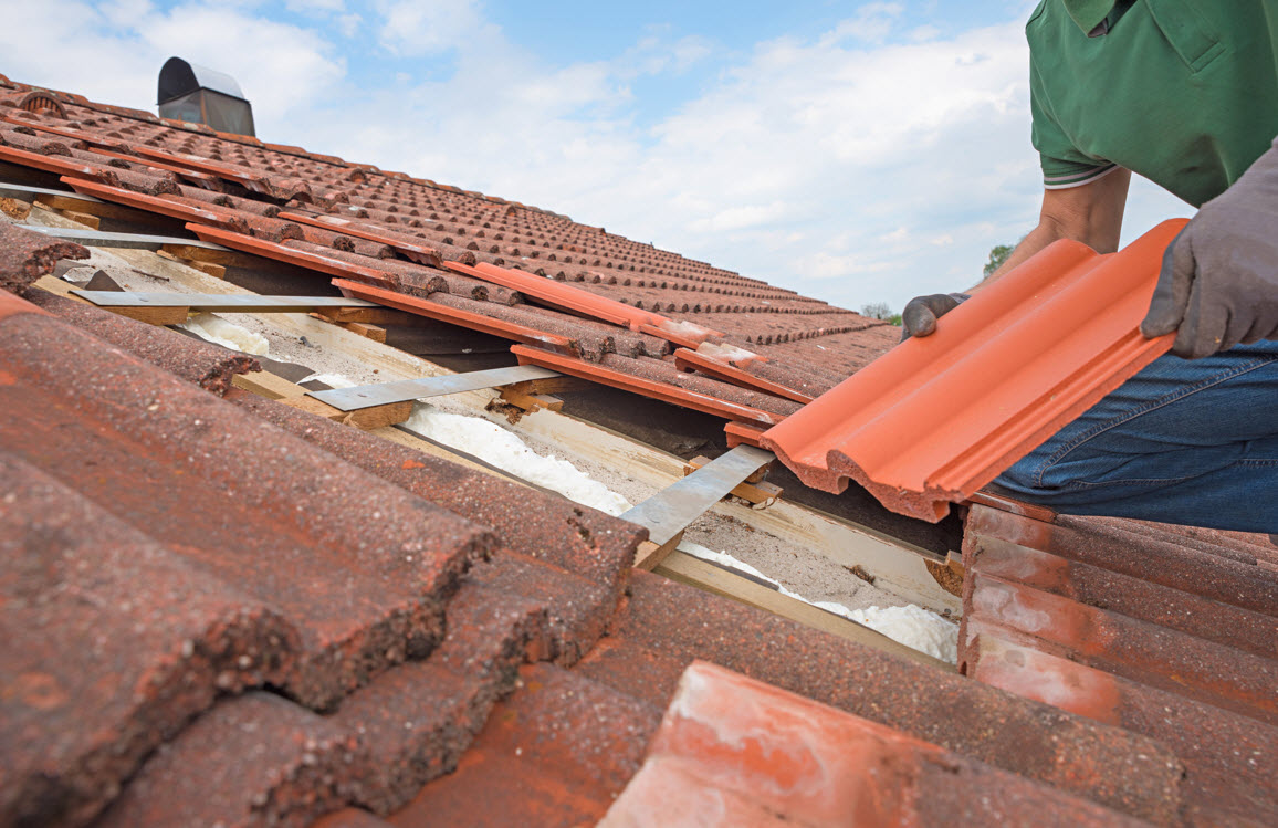 Roof Cleaning and Maintenance