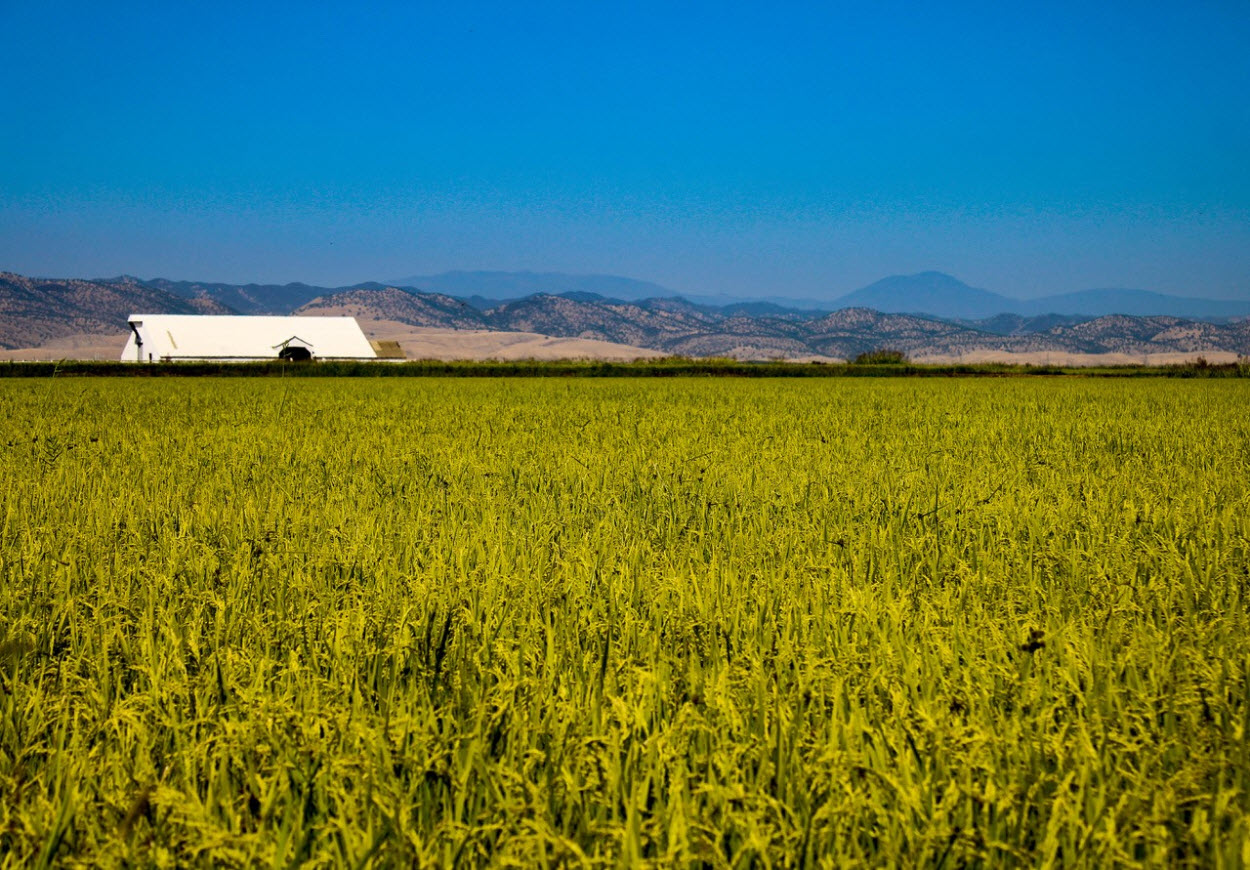 Country Home Loans