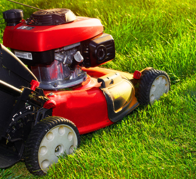 Lawn Cutting & Vacuuming