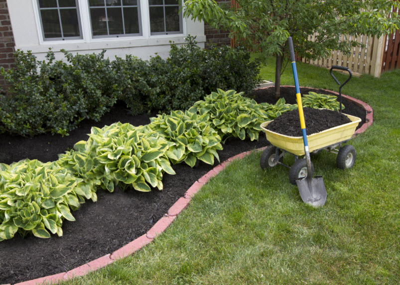 Landscaping