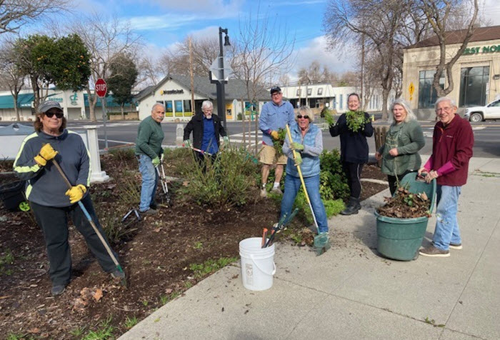 Civic Beautification