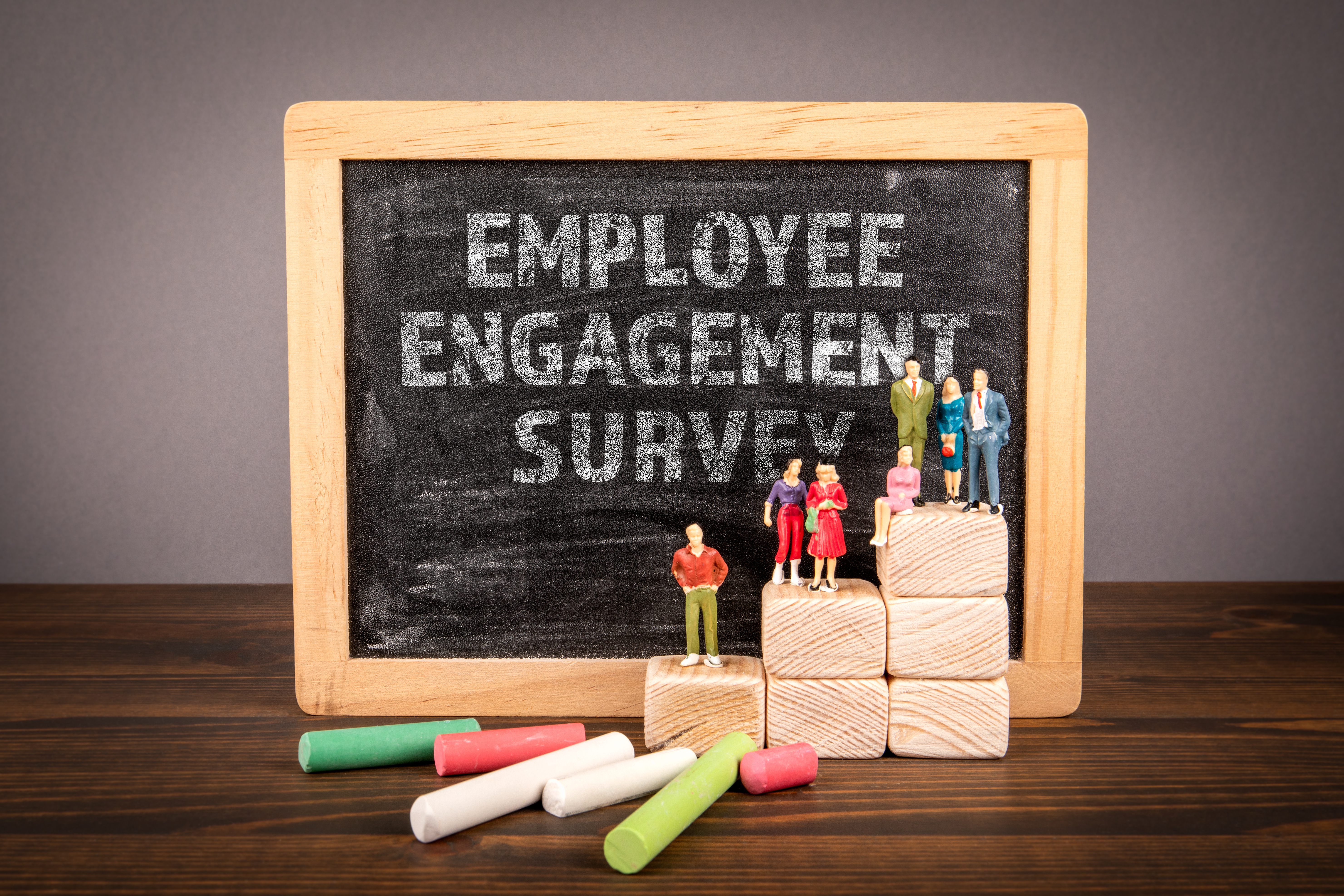 Employee Engagement Surveys