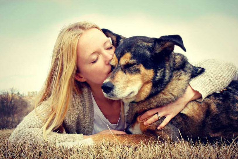 Hospice and Euthanasia