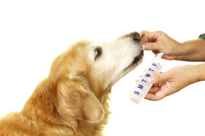 Pharmacy
