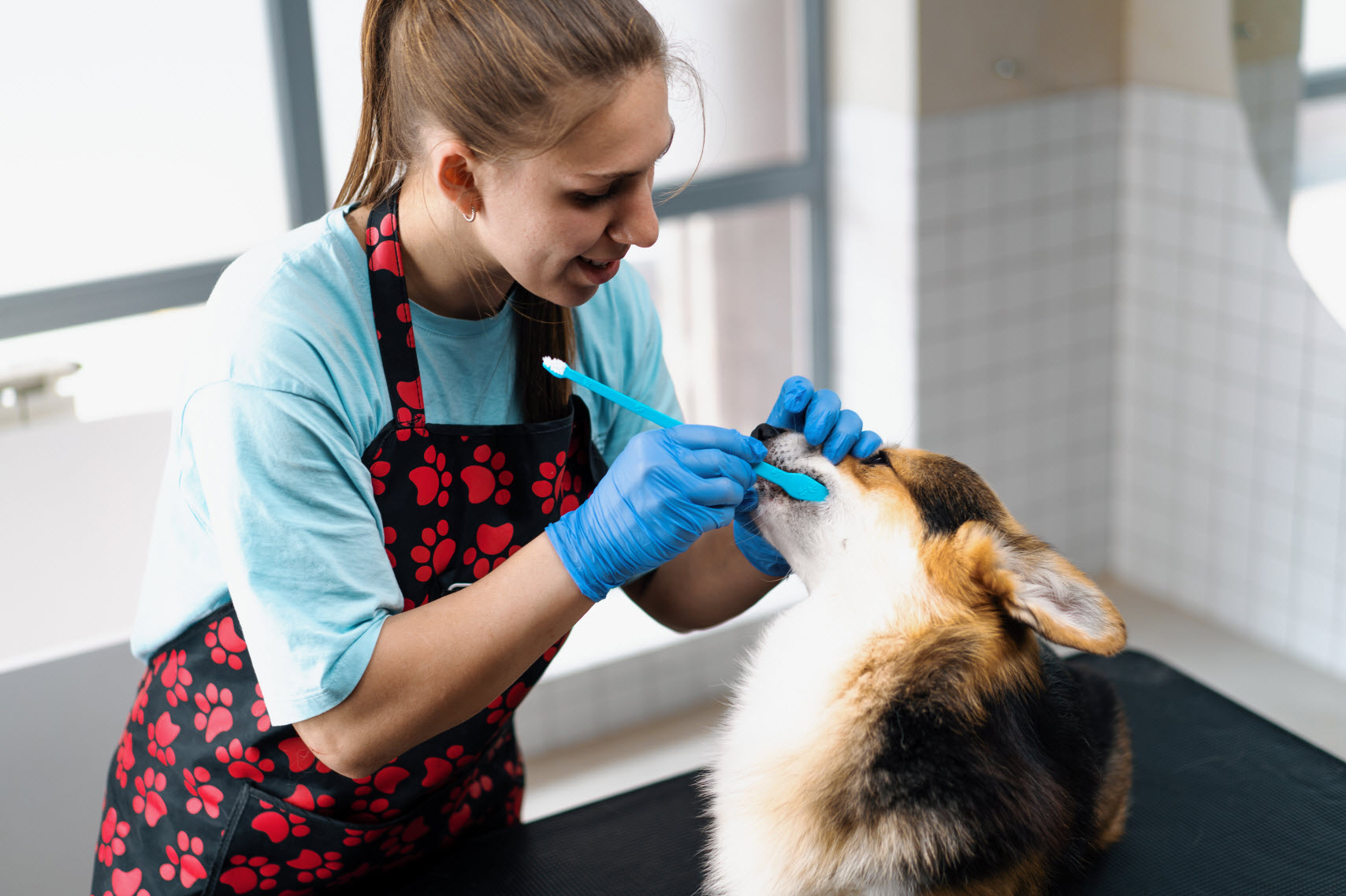 Teeth Cleaning