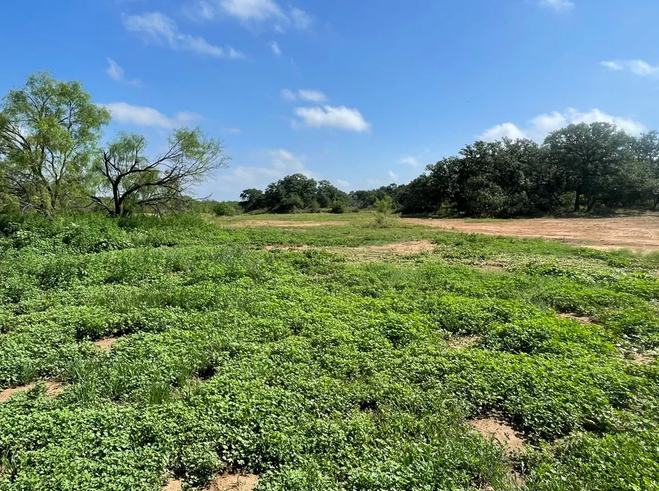 Lot-Lands Properties