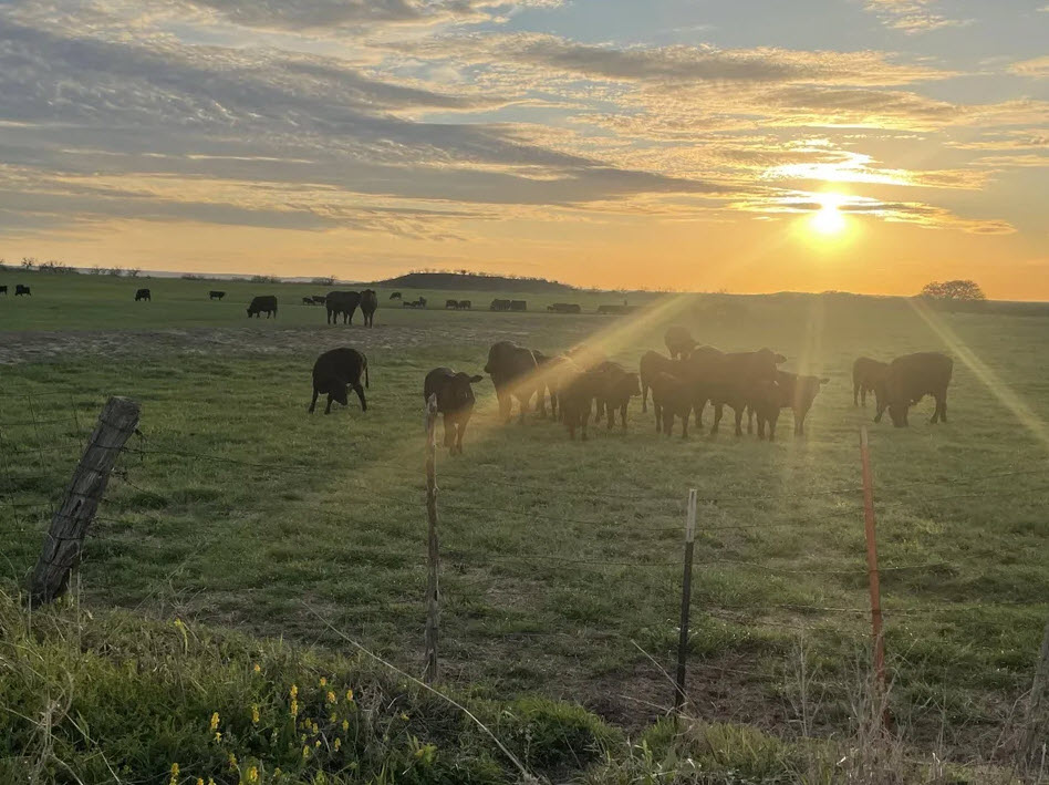 Ranches Properties
