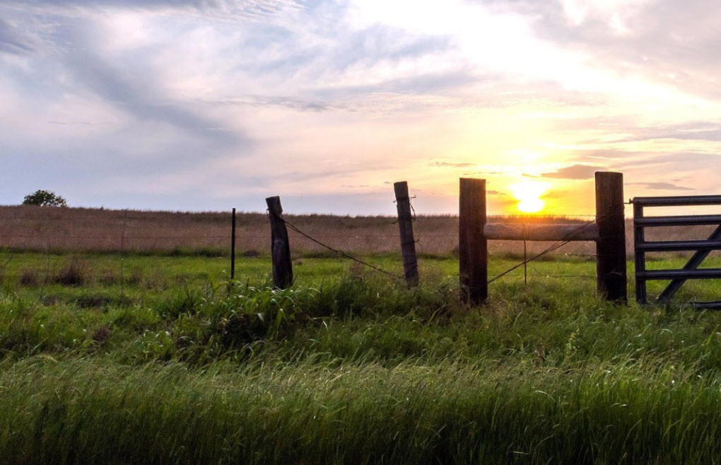Farm and Ranch Loans