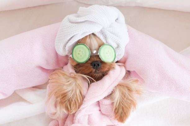 Spa Treatments
