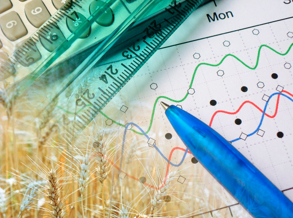 Auditing and Accounting Services