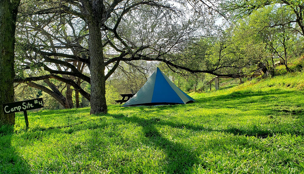 Tent Site