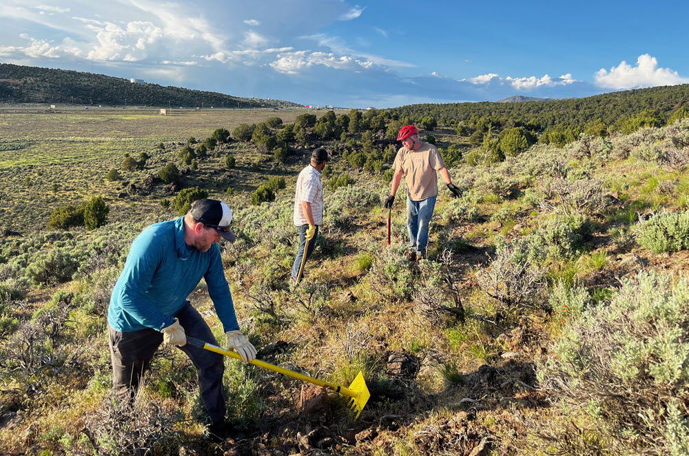 Trail Maintenance