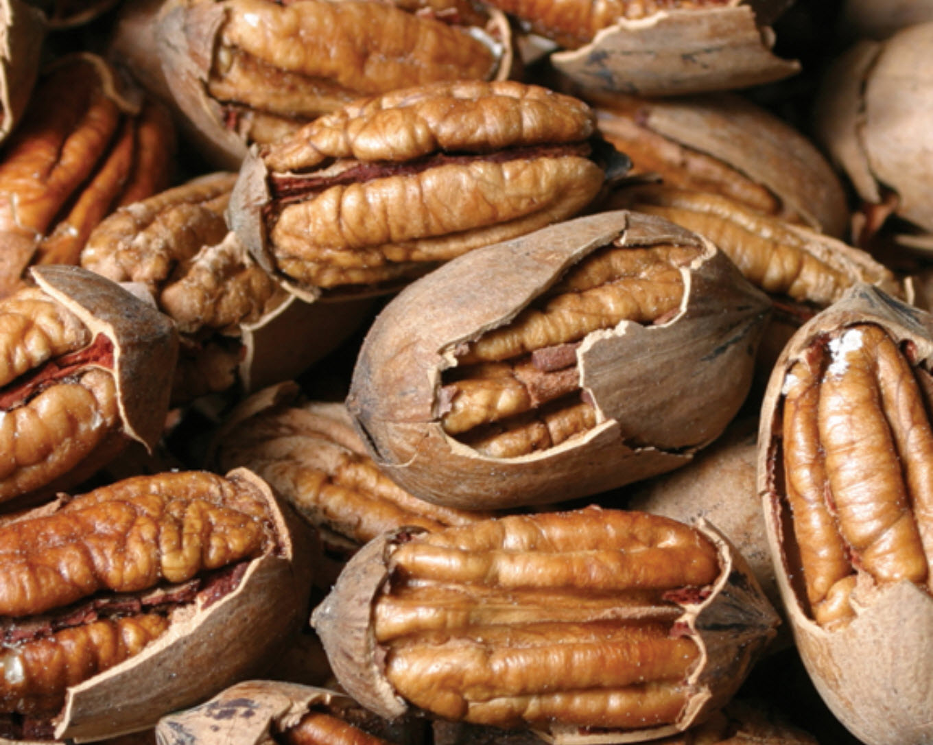 Pecans