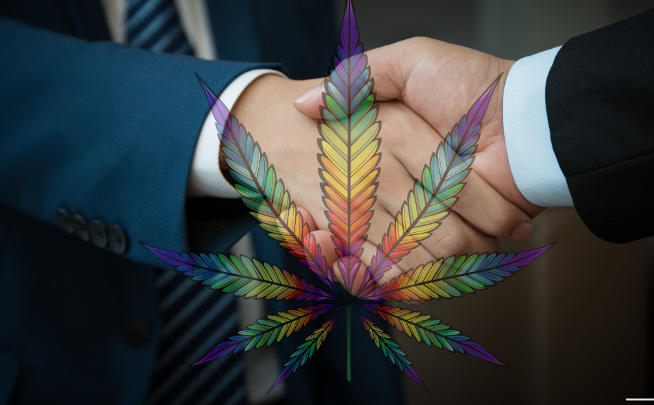 Cannabis Business