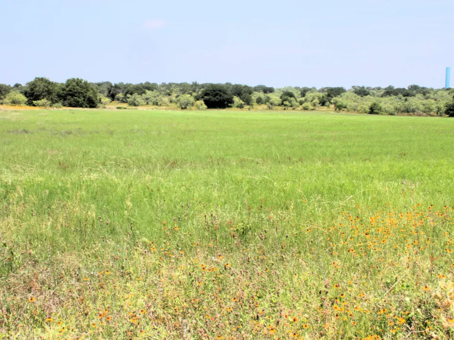 Undeveloped Land