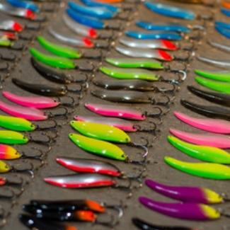 Bait and Tackle Store