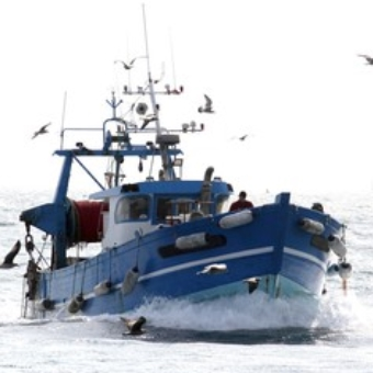 Fishing License