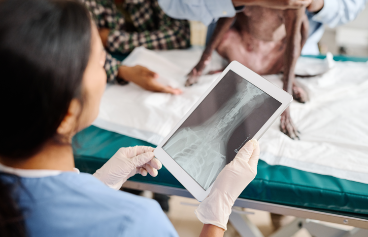 Imaging via Modern Digital X-Ray and Ultrasound