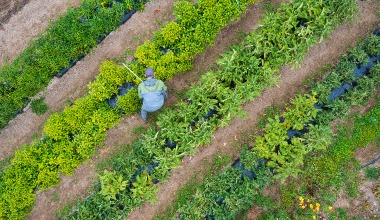 Agribusiness