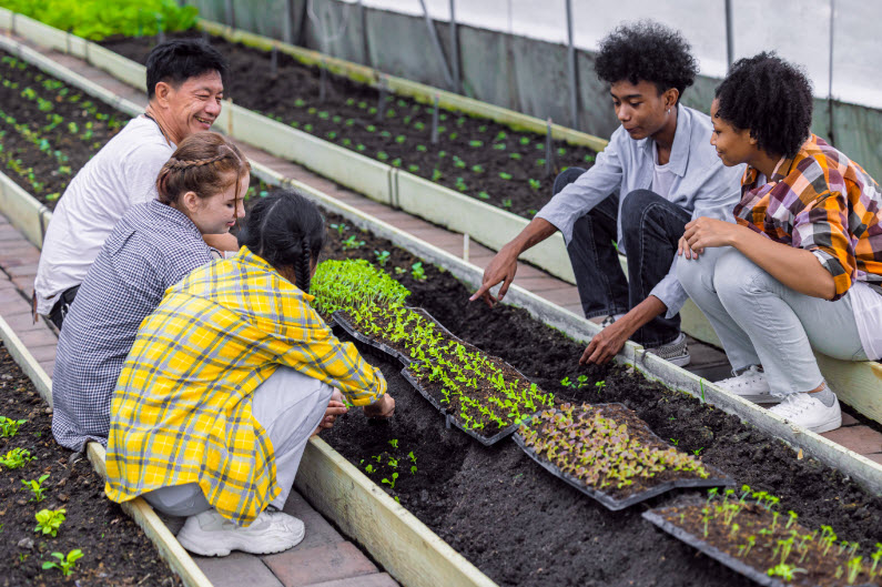 Sustainable Agriculture Training