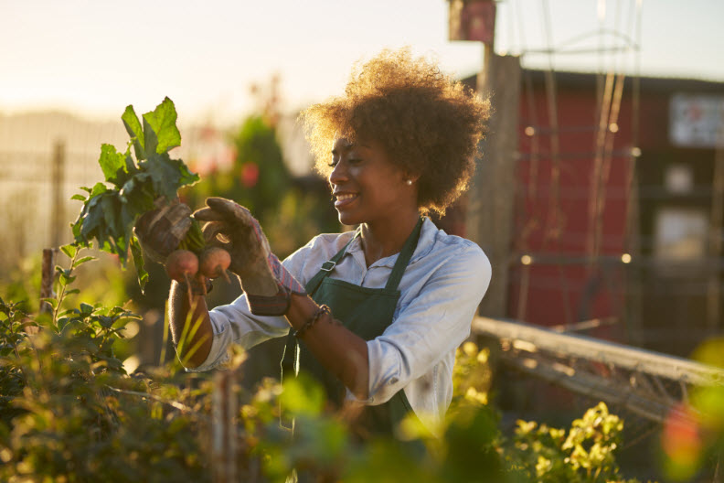 Vegetable Farming Workshops