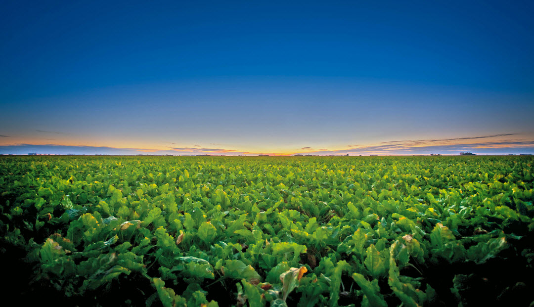 Farmland Brokerage