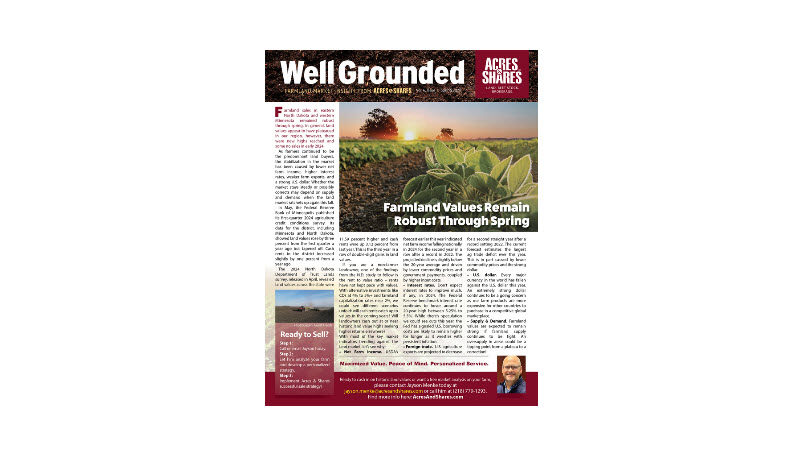 Newsletter