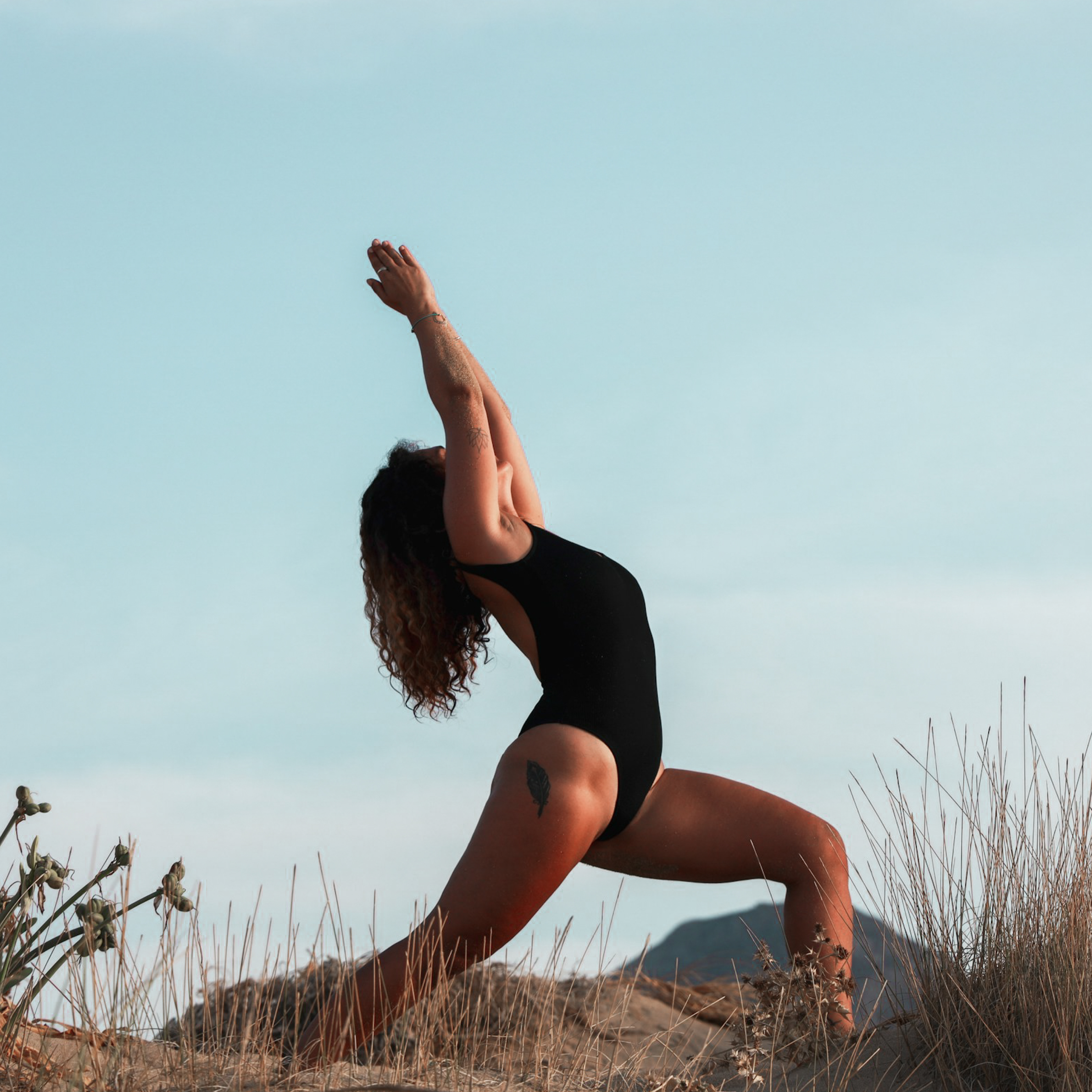 Wellness