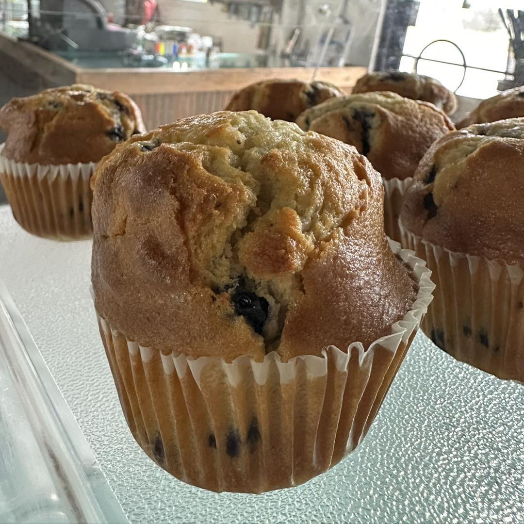 Blueberry Muffins