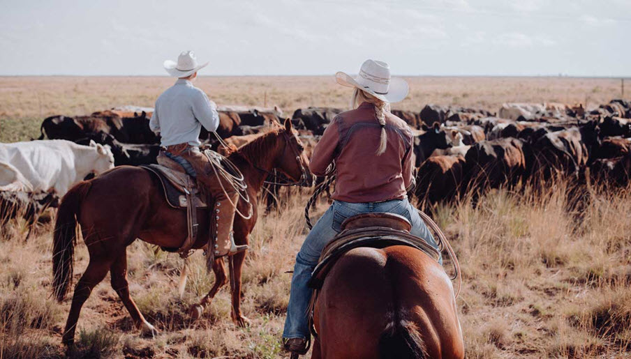 Real Estate including Ranch Purchase