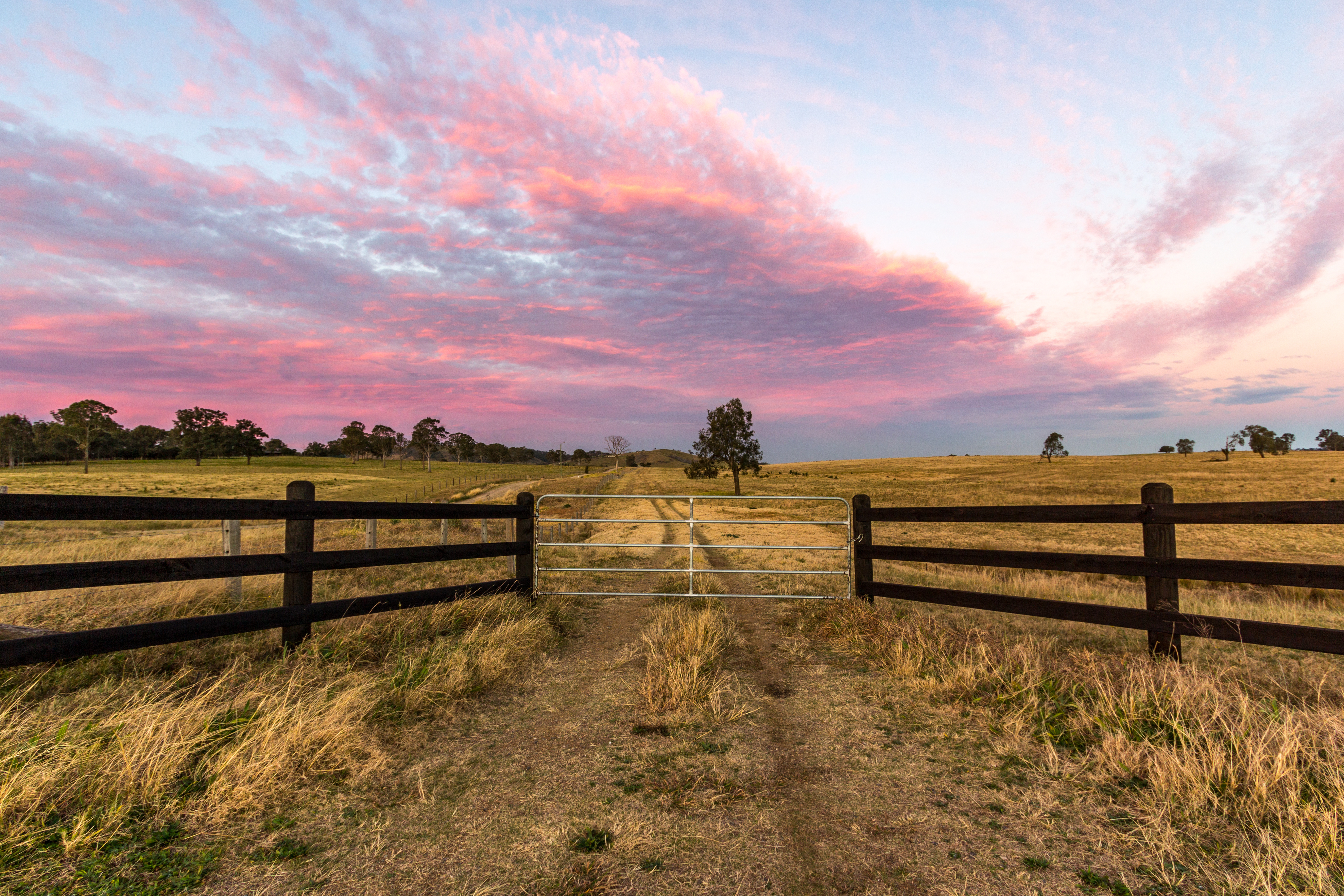 Fencing & Gates