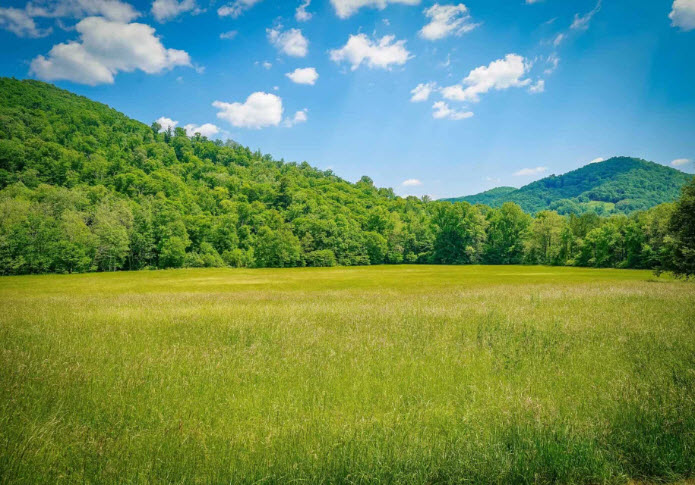 Environmental Stewardship