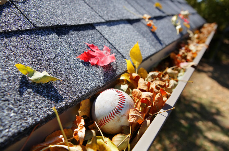 Gutter Cleaning