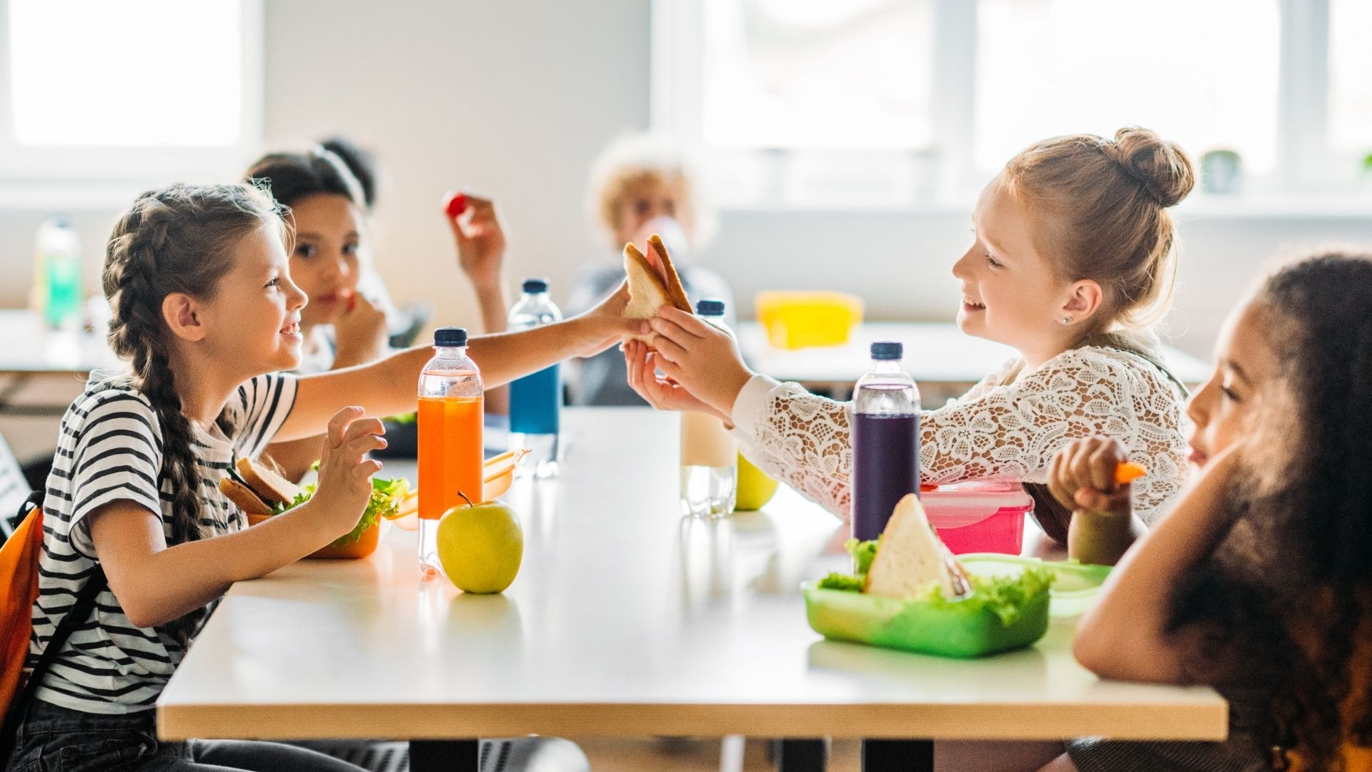 Nutrition & Wellness