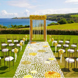 Weddings