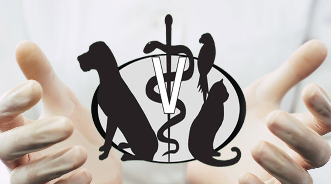 Veterinary Inspired Coverage 