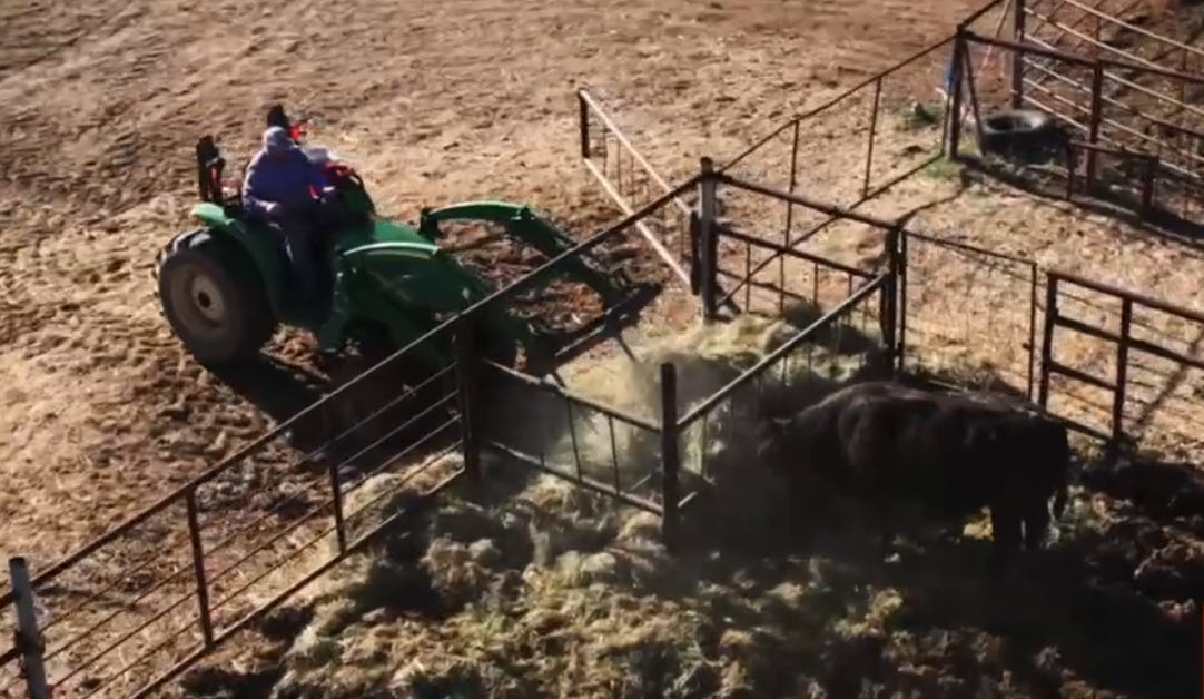 Product Demonstrations and Training