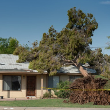Storm Damage Restoration