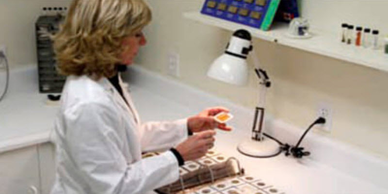 Seed Quality Testing
