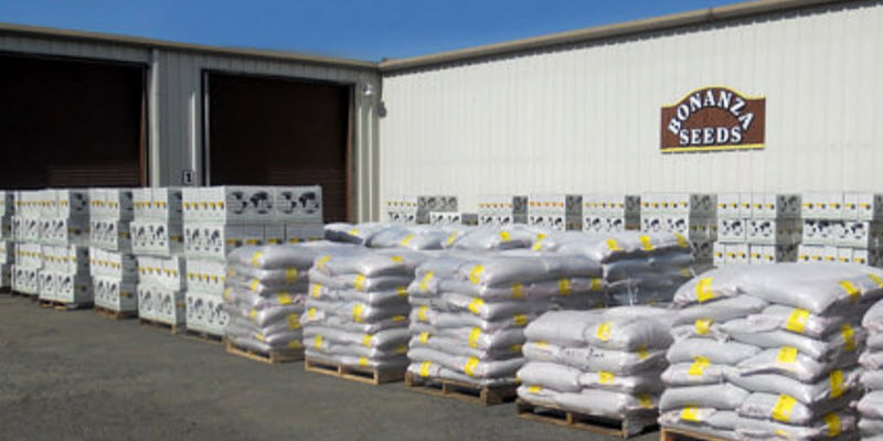 Packaging and Distribution