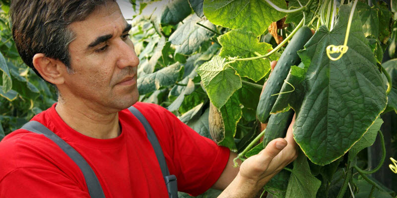 Agricultural Consultation
