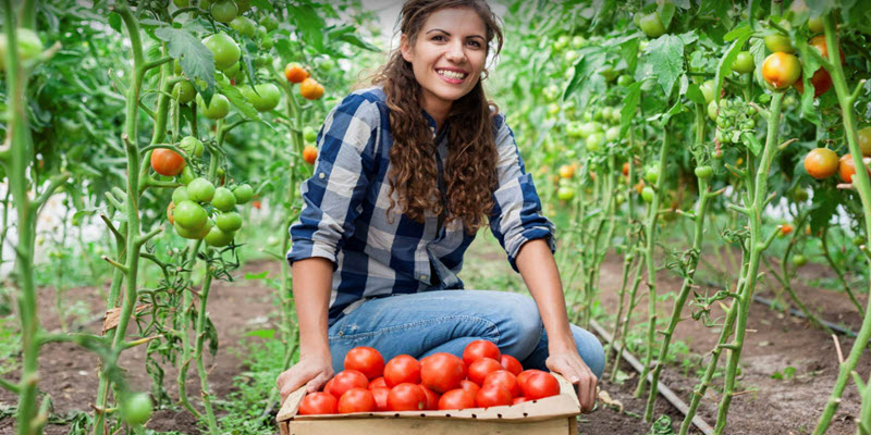 Sustainable Farming Solutions