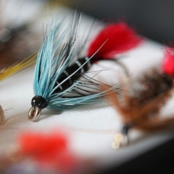 Trout Flies