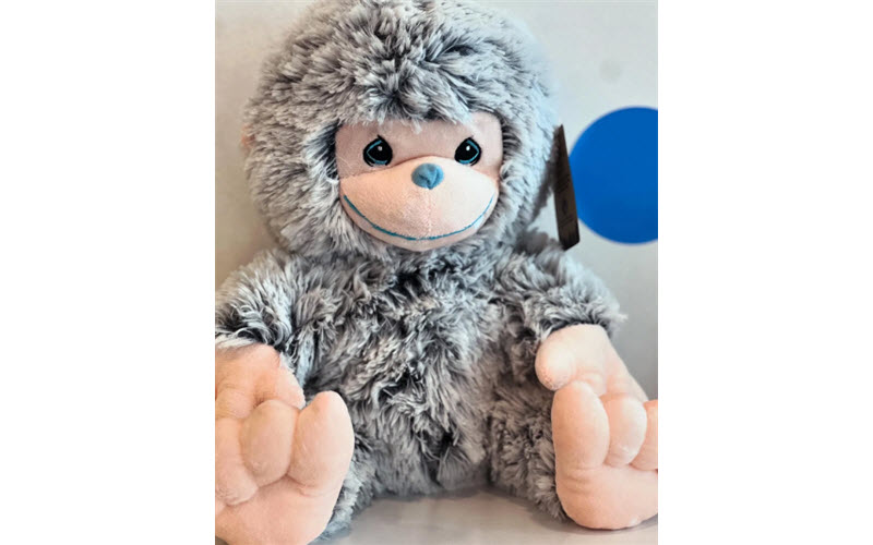 Stuffed Animals