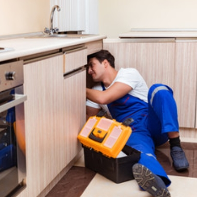 Annual Maintenance