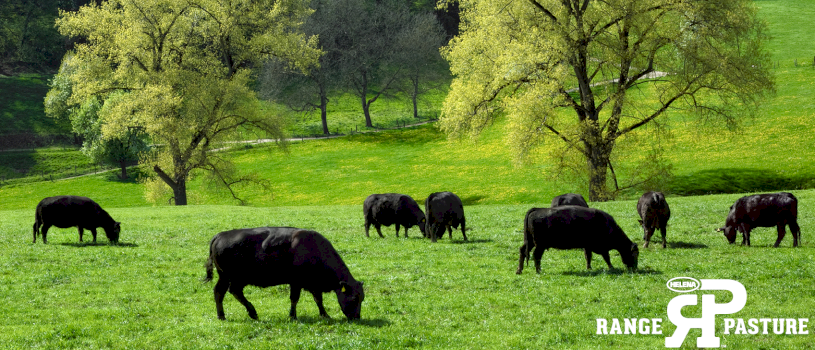 Range & Pasture